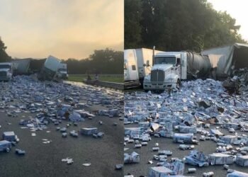 फ्लोरिडामा बियरका कारण राजमार्ग अवरुद्ध