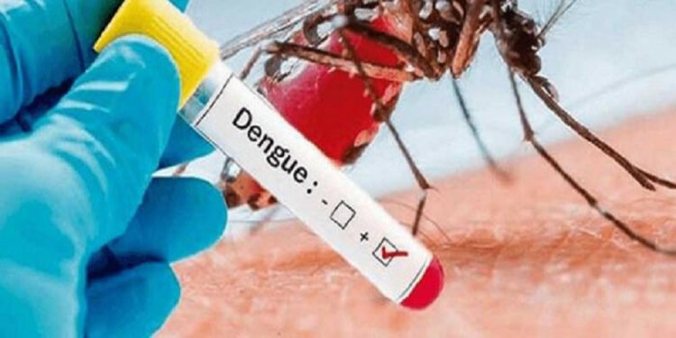 डेङ्गु परीक्षण शुल्कमा मनोमानी