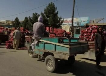 पाकिस्तानले फलफूको निर्यातमा राजश्व बढाएपछि अफगान व्यापारी चिन्तित