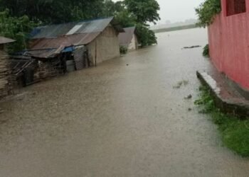 वर्षाका कारण कञ्चनपुरको वनहरा शिविर डुबानमा