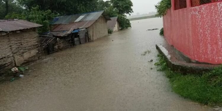 वर्षाका कारण कञ्चनपुरको वनहरा शिविर डुबानमा