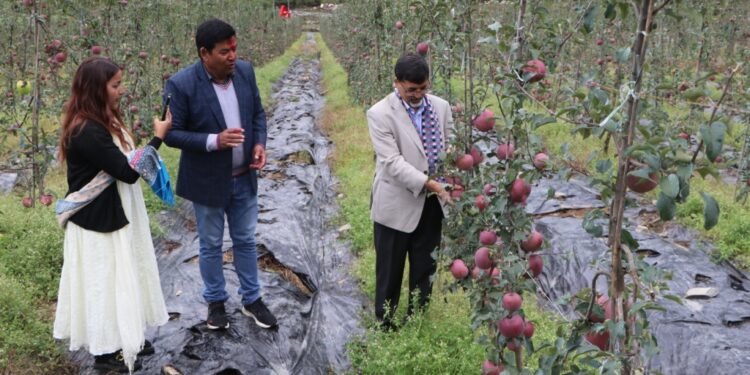 कर्णालीको विकासमा कृर्षिको भूमिका महत्वपूर्ण छः अर्थमन्त्री शर्मा