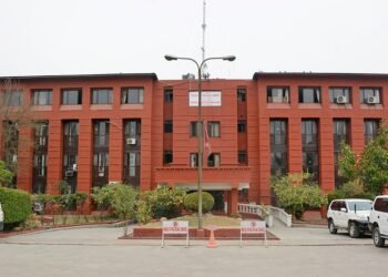 डेंगुबाट बच्न स्वास्थ्य मन्त्रालयले दियो टिप्स