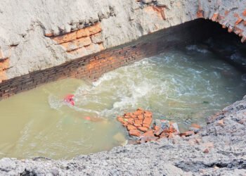 नक्सामै नभएको टुकुचाको पूर्वसम्भाव्यता अध्ययन