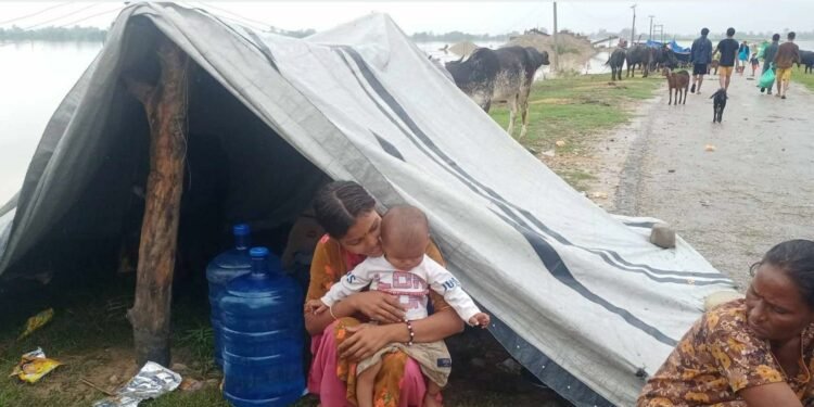 कैलाली बाढीः सडकमा बसेका गर्भवती र सुत्केरी समस्यामा