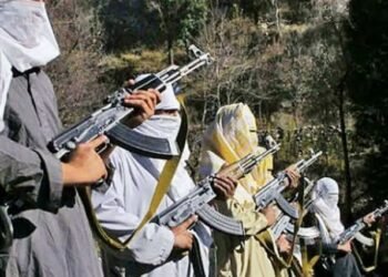 पाकिस्तानी आतंकवादीहरु भारत प्रवेश गर्न खोजिरहेको भिडियो सार्वजनिक