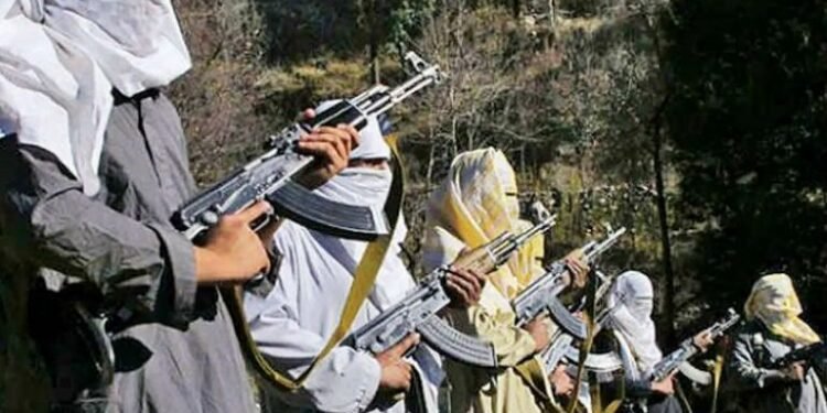 पाकिस्तानी आतंकवादीहरु भारत प्रवेश गर्न खोजिरहेको भिडियो सार्वजनिक