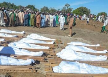 नाइजरमा जिहादी समूहद्वारा ११ किसानको हत्या