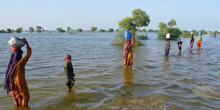 पाकिस्तानको जस्तो जलवायु नरसंहार कहिल्यै देखेको थिइन : महासचिव गुटेर्रेस