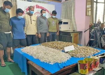 रसबरी र तेलको टिनमा लुकाएर लागूऔषध तस्करी