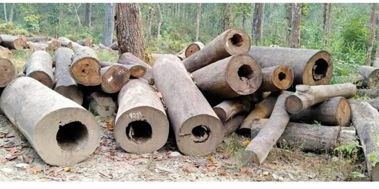 लुम्बिनीमा १४ हजार ६ सय ८६ हेक्टर वन अतिक्रमण