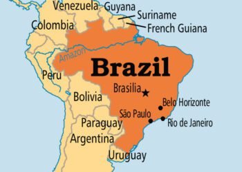 ब्राजिलमा कोभिडको उपचारका क्रममा ४ हजार बढी स्वास्थ्यकर्मीको निधन