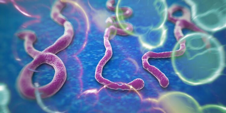 इबोलाका कारण युगान्डामा लकडाउन