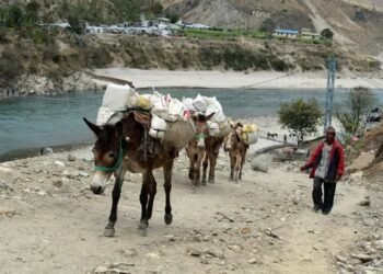 सडक मर्मत नहुँदा सामग्री ढुवानीमा खच्चडकै सहारा
