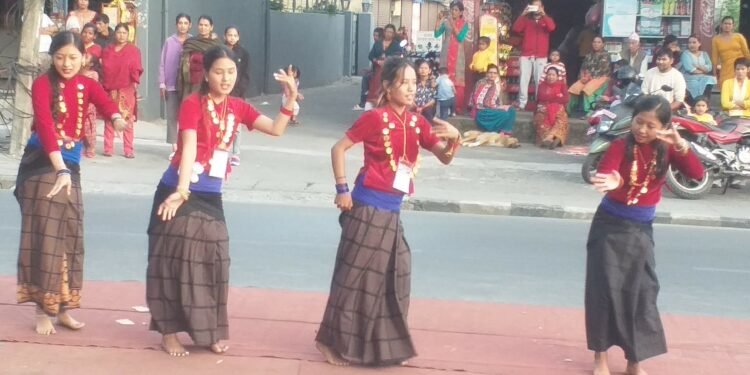 पोखराको सृजनाचोकमा खेलिएको देउसी भैलो