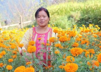 शाखा प्रमुखको जागिर छोडेर फूल खेती