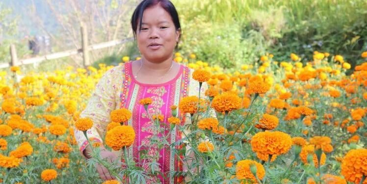 शाखा प्रमुखको जागिर छोडेर फूल खेती