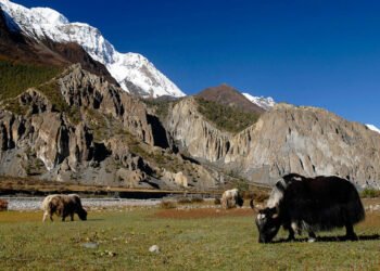 जीवन धान्न नौ महिना चौँरी खर्कको बास