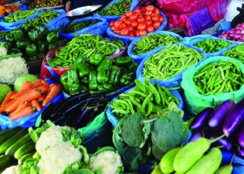 तीन महिनामा ४ अर्ब ८६ करोडभन्दा बढीको तरकारी नेपाल भित्रियो