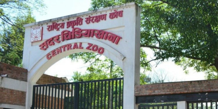 मतदानको दिन सदर चिडियाखाना बन्द हुने