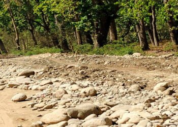 बाढीले भत्काएको सडक मर्मत नहुँदा आवतजावतमा समस्या