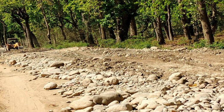 बाढीले भत्काएको सडक मर्मत नहुँदा आवतजावतमा समस्या