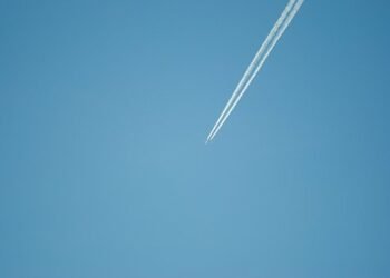 भाडामा पाइलट: चीनले पश्चिमी देशहरूबाट सेवानिवृत्त सैन्य कर्मचारीहरू भर्ती गर्दै