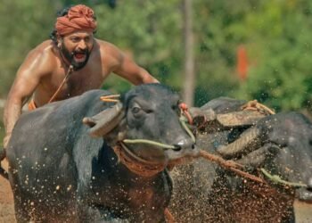कान्तराका कलाकारको पारिश्रमिक कति ?