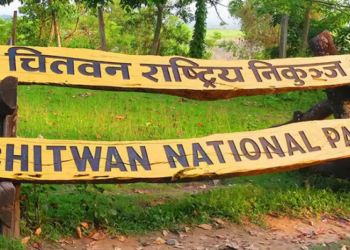 चितवन राष्ट्रिय निकुञ्जमा चार महिनामा ४९ वन्यजन्तुको मृत्यु