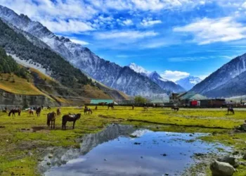 यो वर्ष हालसम्म ७ लाख पर्यटक पहलगाम घुम्न आए