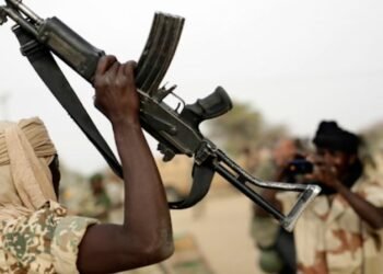 नाइजेरियामा बन्दुकधारीद्वारा दर्जनौं बालबालिकाको अपहरण