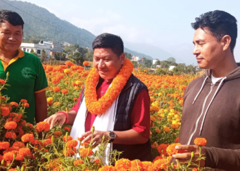 उम्मेदवारसँग उद्यमी बन्ने योजना माग्दै पाल्पाका किसान