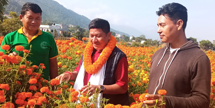 उम्मेदवारसँग उद्यमी बन्ने योजना माग्दै पाल्पाका किसान