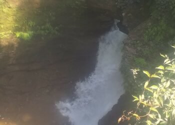 डेभिज फल्स प्रवेश शुल्कबाट वार्षिक दुई करोड आम्दानी