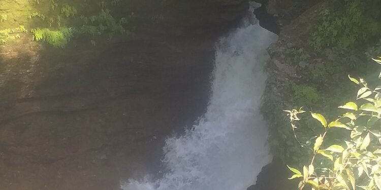 डेभिज फल्स प्रवेश शुल्कबाट वार्षिक दुई करोड आम्दानी