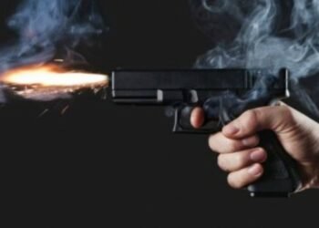 तराईमा हतियारको त्रासः सामान्य विवादमा समेत चल्छ गोली