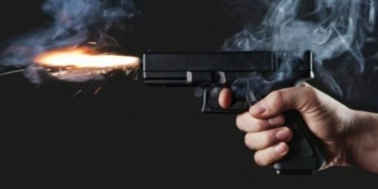 तराईमा हतियारको त्रासः सामान्य विवादमा समेत चल्छ गोली