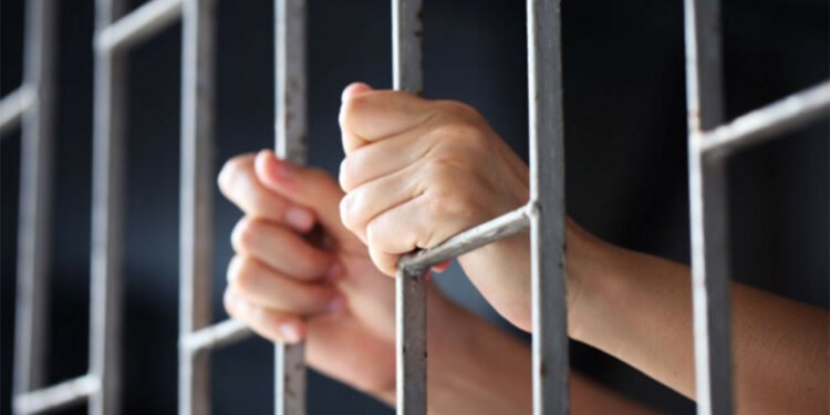 बेलायतमा अमेरिकी कुटनीतिज्ञकी पत्नीलाई ८ महिना जेल सजाय