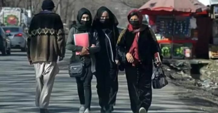तालिबानद्वारा अफगान महिलालाई विश्वविद्यालय शिक्षामा प्रतिबन्ध