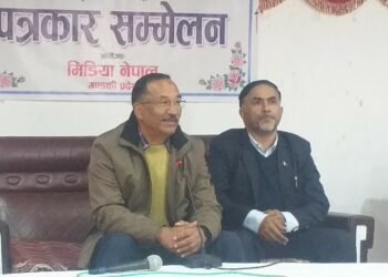 बिदेशीको इशारामा सरकार बन्ने र चल्ने गरेको नेता थापाको आरोप