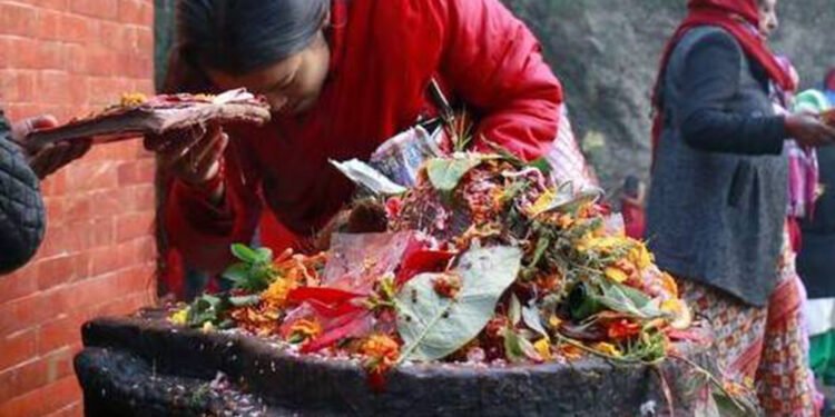 धानको पूजा गरी मनाइँदैछ धान्यपूर्णिमा, योमरी पूर्णिमा पनि आजै