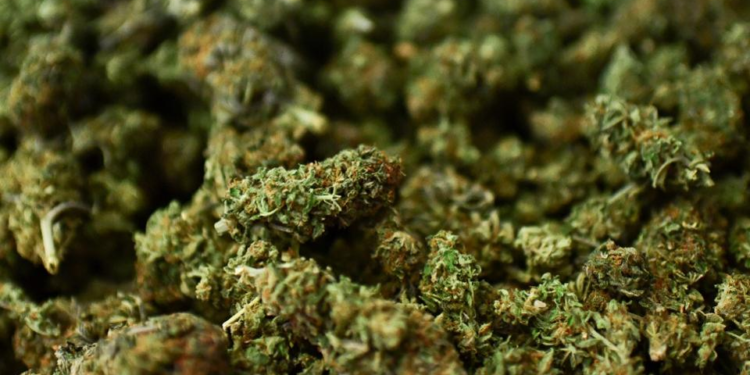 प्रहरीद्वारा १८ केजी गाँजा बरामद