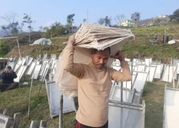 नेपाली कागजः बजारमा माग धेरै, उत्पादन कम