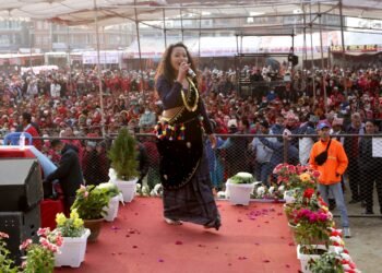 चिसो मौसमसँगै महोत्सव अवलोकन गर्नेको भीड