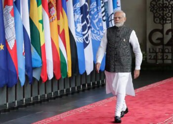 विकासशील देशलाईसँगै लिएर अघि बढने भारतको रणनीति