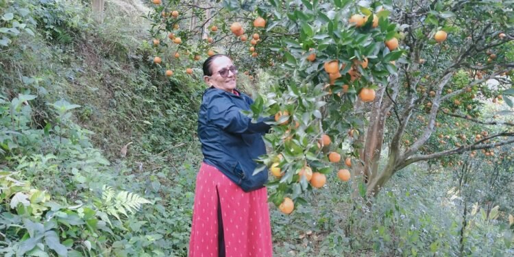 २९ वर्ष बालबालिकासँग, अहिले सुन्तलासँग रमाउँदै ‘तारा’