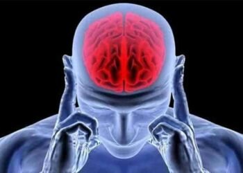 अल्जाइमर्स (बिर्सने) रोगमा खानपानको महत्व