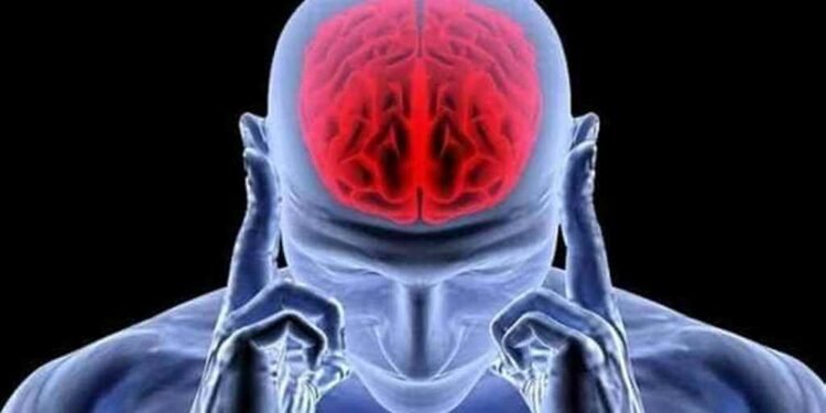 अल्जाइमर्स (बिर्सने) रोगमा खानपानको महत्व