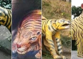 बाघको सालिक थरि थरिका, समाजिक सञ्जालमा भाइरल (तस्विरहरु)