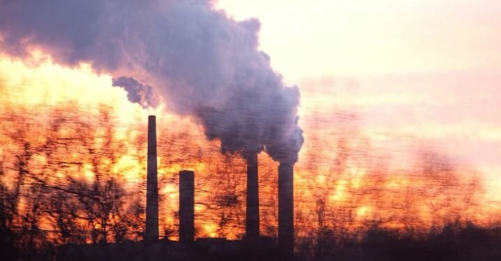 उत्सर्जन जारी रहे सन् २०५० सम्ममा ६ प्रतिशत बनस्पति र जनावर लोप हुने